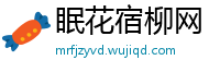 眠花宿柳网